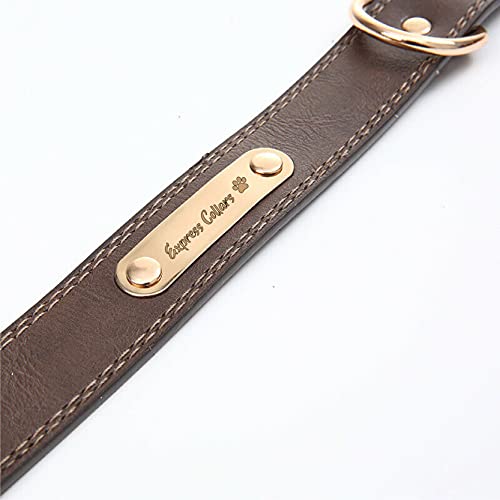 ExpressCollars Soft Brown Leather Dog Collar - Modern Stylish Collar for Small Medium Large Dogs