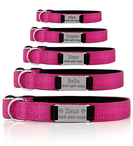 Pet Repeating Name Personalized Dog Collar - Large-X-Large