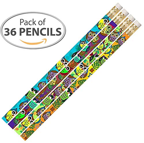 D2522 Owl Corral Pencil - 36 Qty Package - Express Pencils