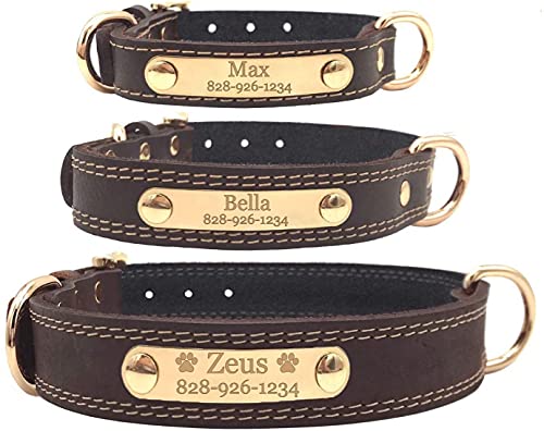 Personalized Dog Collar - Custom Engraved ID Tags with Reflective Mate –  ExpressPencils